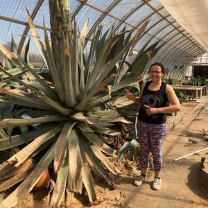 Meet your Posher, Rachel